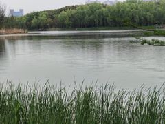 -昆山城市生态森林公园