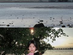 -宝安西湾红树林湿地公园