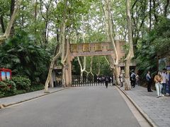 -灵谷景区