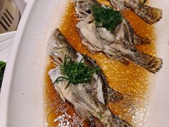 -上座云间·青年赣菜(绿茵店)