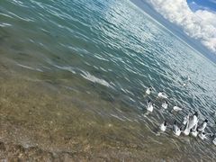 -青海湖国家重点风景名胜区