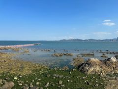 -养马岛旅游度假区
