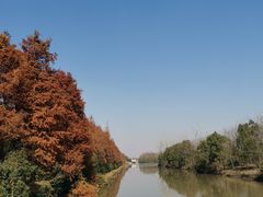 -上海海湾国家森林公园