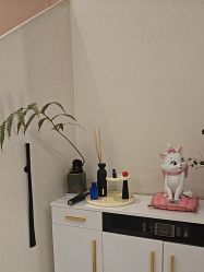 -WENDY·温迪皮肤管理