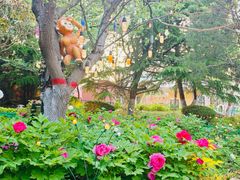 -青岛方特梦幻王国
