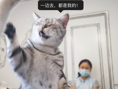 -白夜2D咖啡馆