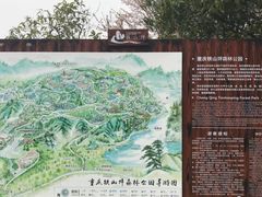 -铁山坪森林公园