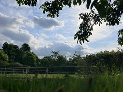 -重庆和泰马术俱乐部