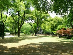 android_upload_pic-上海市龙华烈士陵园