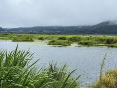 -腾冲北海湿地