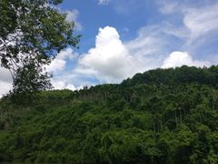 -万泉河漂流