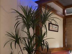 -和创柚子·会席日本料理(新区淮海街店)