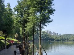 -重庆彩云湖湿地公园