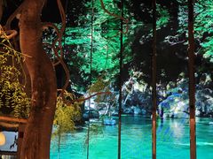 -桂满陇·海市蜃楼·黑金(国金店)