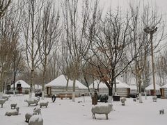 -九十九顶毡房(阜石路店)