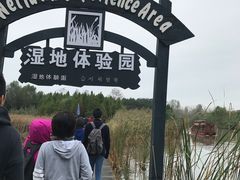-溱湖国家湿地公园