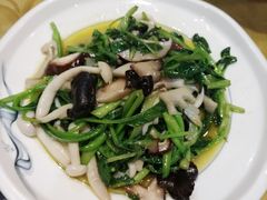 -青春·淮扬菜(东关街店)