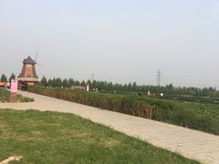 -君乐宝优致牧场