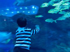 -成都浩海立方海洋公园