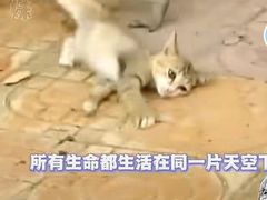 -昆明动物园