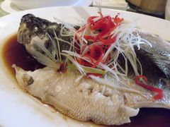 7-大鸭梨(天通西苑店)