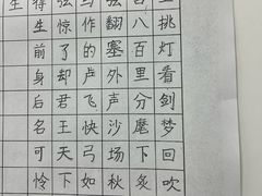-赵汝飞练字硬笔书法(三林浦三路校区)