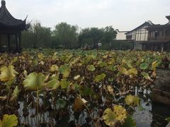 -乌镇望津里精品酒店