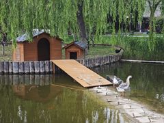 -西海子公园