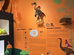 -正佳自然科学博物馆