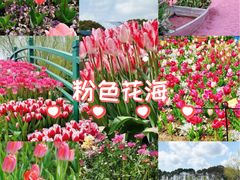 -上海鲜花港