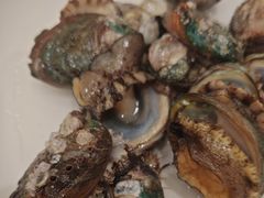 -威海蓝海御华大饭店·蓝钻美食自助百汇