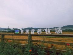-君乐宝优致牧场
