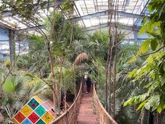 -呀路古热带植物园