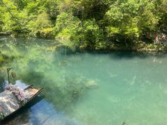 -石台牯牛降景区