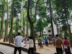 -广州市帽峰山景区
