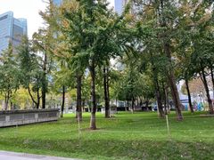 -重庆市江北嘴中央商务区中央公园