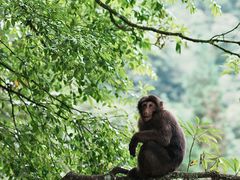 -西岭雪山大飞水景区