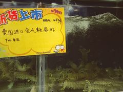 -蚝专家(北滘店)