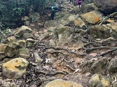 -梧桐山风景名胜区