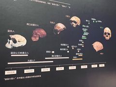 -贵州省博物馆(新馆)