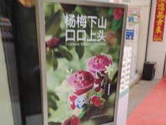 -茶百道(万达金街店)