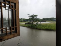 -水八仙生态园