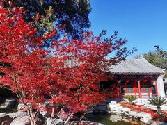 -香山公园