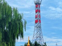 -羊亭河湿地公园