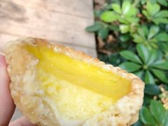 -嘉乐蛋挞王(文明分店)