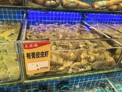 -大东海海鲜酒楼(渔人码头总店)
