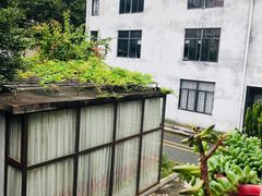 -無鱼鳞比