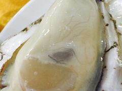 桑拿蚝-蚝专家(北滘店)