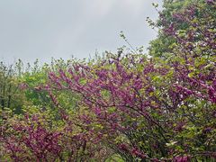 -瑶湖湿地自然保护区