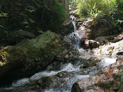 -南海湾森林生态园
